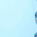 Weight Loss Options in Bethesda Maryland